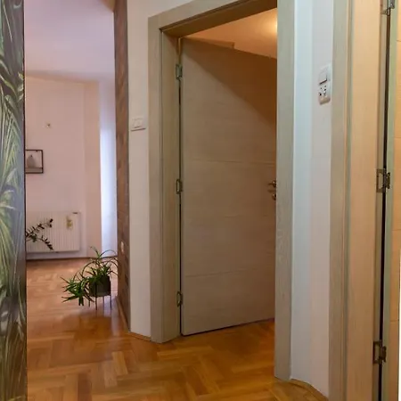 Exit Houseleek-cuvarkuca * Novi Sad