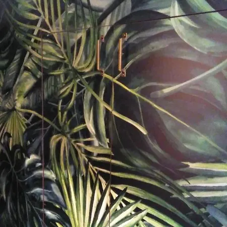 Exit Houseleek-cuvarkuca Apartman *