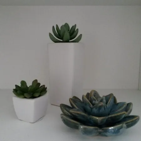 Apartman Exit Houseleek-cuvarkuca Novi Sad