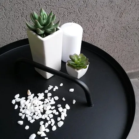 Exit Houseleek-cuvarkuca * Novi Sad