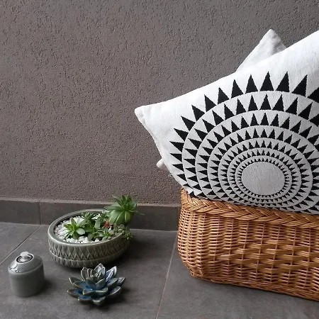 Exit Houseleek-cuvarkuca * Novi Sad