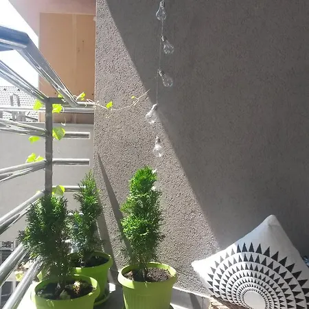 Exit Houseleek-cuvarkuca