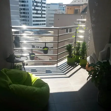 Exit Houseleek-cuvarkuca * Novi Sad