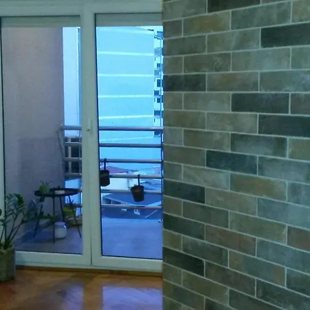 Exit Houseleek-cuvarkuca Novi Sad